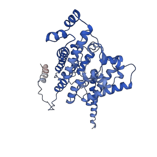 15090_8a1v_B_v1-3
Sodium pumping NADH-quinone oxidoreductase with substrate Q2