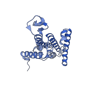 15091_8a1w_D_v1-3
Sodium pumping NADH-quinone oxidoreductase with substrate Q1