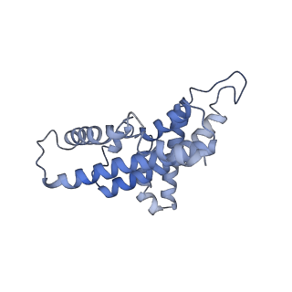 15091_8a1w_E_v1-3
Sodium pumping NADH-quinone oxidoreductase with substrate Q1