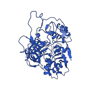 15092_8a1x_A_v1-3
Sodium pumping NADH-quinone oxidoreductase with inhibitor DQA
