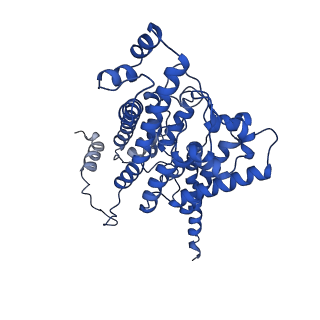 15092_8a1x_B_v1-3
Sodium pumping NADH-quinone oxidoreductase with inhibitor DQA