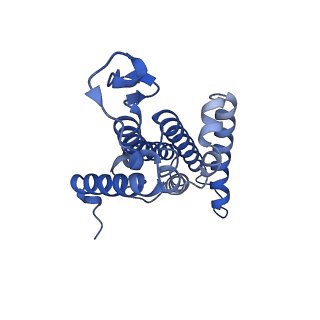 15092_8a1x_D_v1-3
Sodium pumping NADH-quinone oxidoreductase with inhibitor DQA