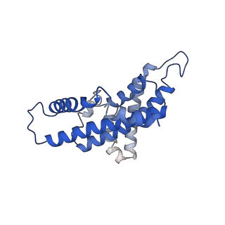 15092_8a1x_E_v1-3
Sodium pumping NADH-quinone oxidoreductase with inhibitor DQA