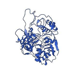 15093_8a1y_A_v1-3
Sodium pumping NADH-quinone oxidoreductase with inhibitor HQNO