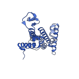 15093_8a1y_D_v1-3
Sodium pumping NADH-quinone oxidoreductase with inhibitor HQNO