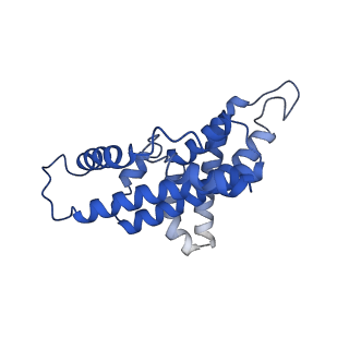 15093_8a1y_E_v1-3
Sodium pumping NADH-quinone oxidoreductase with inhibitor HQNO