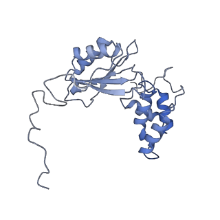 11614_7a23_B_v1-0
Plant mitochondrial respiratory complex I