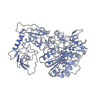 11614_7a23_C_v1-0
Plant mitochondrial respiratory complex I