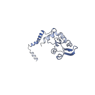 11614_7a23_D_v1-0
Plant mitochondrial respiratory complex I