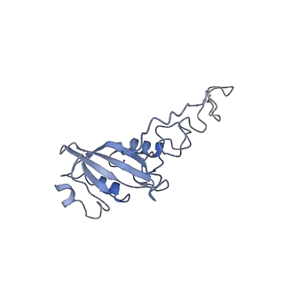 11614_7a23_F_v1-0
Plant mitochondrial respiratory complex I