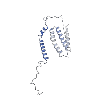 11614_7a23_N_v1-0
Plant mitochondrial respiratory complex I