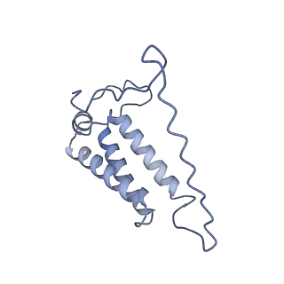 11614_7a23_R_v1-0
Plant mitochondrial respiratory complex I