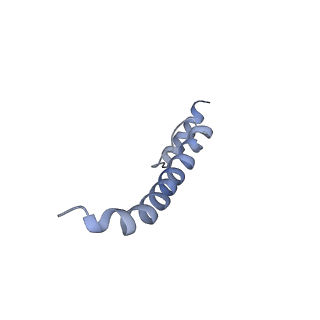 11614_7a23_V_v1-0
Plant mitochondrial respiratory complex I