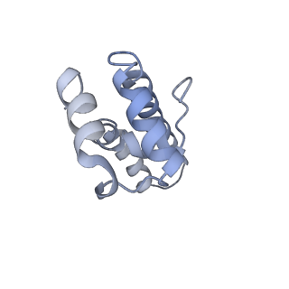 11614_7a23_Y_v1-0
Plant mitochondrial respiratory complex I