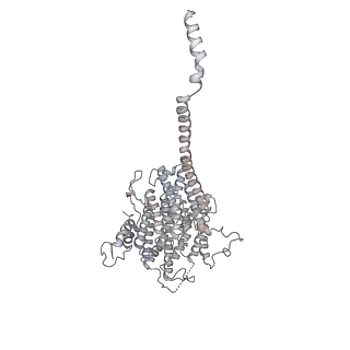 11614_7a23_a_v1-0
Plant mitochondrial respiratory complex I