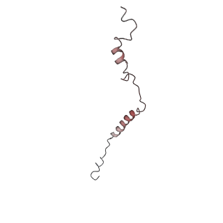 11614_7a23_m_v1-0
Plant mitochondrial respiratory complex I