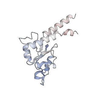 11615_7a24_E_v1-0
Assembly intermediate of the plant mitochondrial complex I