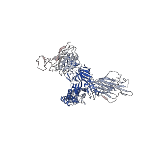 11616_7a25_A_v1-0
Cryo-EM structure of the SARS-CoV-2 spike protein bound to neutralizing sybodies (Sb23)