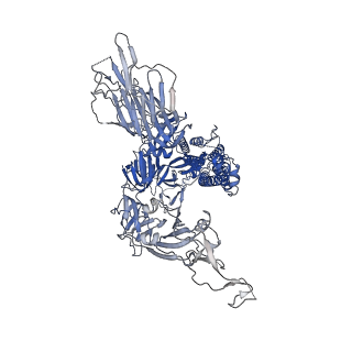 11616_7a25_B_v1-0
Cryo-EM structure of the SARS-CoV-2 spike protein bound to neutralizing sybodies (Sb23)