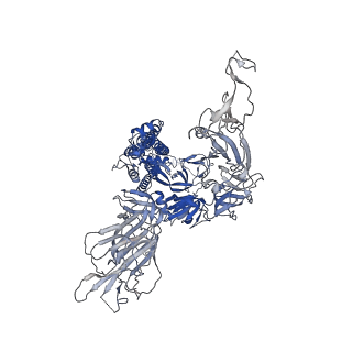 11616_7a25_C_v1-0
Cryo-EM structure of the SARS-CoV-2 spike protein bound to neutralizing sybodies (Sb23)