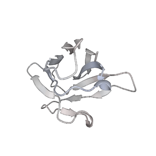 11616_7a25_D_v1-0
Cryo-EM structure of the SARS-CoV-2 spike protein bound to neutralizing sybodies (Sb23)