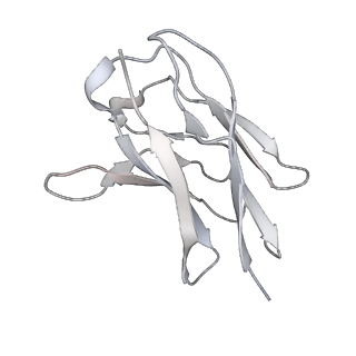 11616_7a25_F_v1-0
Cryo-EM structure of the SARS-CoV-2 spike protein bound to neutralizing sybodies (Sb23)