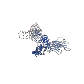 11617_7a29_A_v1-2
Cryo-EM structure of the SARS-CoV-2 spike protein bound to neutralizing sybodies (Sb23) 2-up conformation