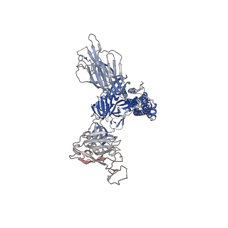 11617_7a29_B_v1-2
Cryo-EM structure of the SARS-CoV-2 spike protein bound to neutralizing sybodies (Sb23) 2-up conformation