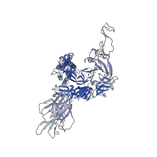 11617_7a29_C_v1-2
Cryo-EM structure of the SARS-CoV-2 spike protein bound to neutralizing sybodies (Sb23) 2-up conformation