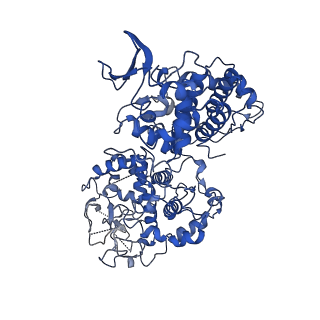 11625_7a2i_B_v1-1
Cryo-EM structure of W107R KatG from M. tuberculosis