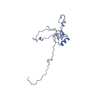 15100_8a22_AC_v1-1
Structure of the mitochondrial ribosome from Polytomella magna