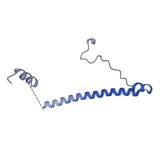 15100_8a22_AE_v1-1
Structure of the mitochondrial ribosome from Polytomella magna