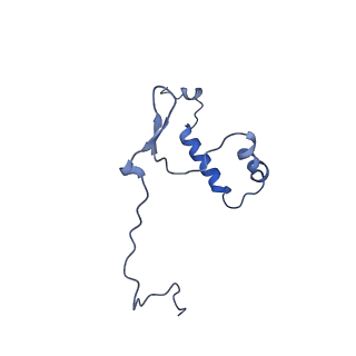 15100_8a22_AF_v1-1
Structure of the mitochondrial ribosome from Polytomella magna