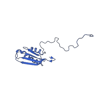 15100_8a22_AG_v1-1
Structure of the mitochondrial ribosome from Polytomella magna