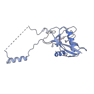 15100_8a22_AH_v1-1
Structure of the mitochondrial ribosome from Polytomella magna