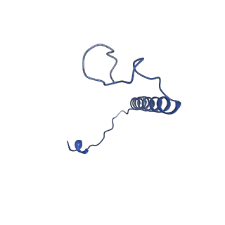 15100_8a22_AI_v1-1
Structure of the mitochondrial ribosome from Polytomella magna