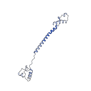 15100_8a22_AJ_v1-1
Structure of the mitochondrial ribosome from Polytomella magna