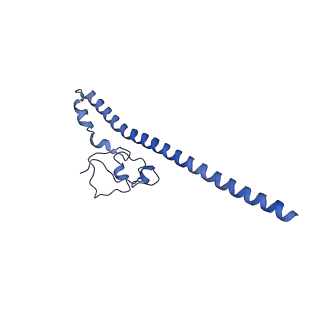 15100_8a22_AK_v1-1
Structure of the mitochondrial ribosome from Polytomella magna