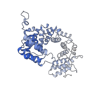 15100_8a22_AL_v1-1
Structure of the mitochondrial ribosome from Polytomella magna