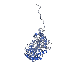 15100_8a22_AM_v1-1
Structure of the mitochondrial ribosome from Polytomella magna