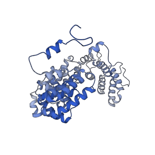 15100_8a22_AN_v1-1
Structure of the mitochondrial ribosome from Polytomella magna