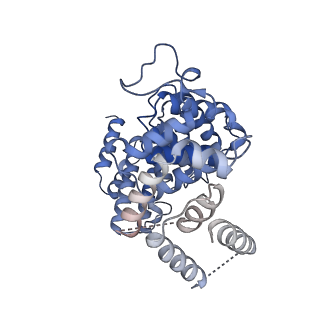 15100_8a22_AO_v1-1
Structure of the mitochondrial ribosome from Polytomella magna
