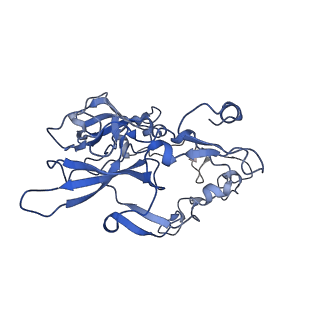 15100_8a22_Aa_v1-1
Structure of the mitochondrial ribosome from Polytomella magna