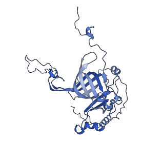 15100_8a22_Ab_v1-1
Structure of the mitochondrial ribosome from Polytomella magna
