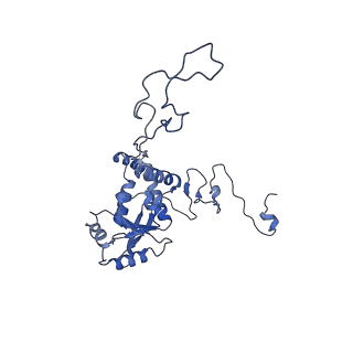 15100_8a22_Ac_v1-1
Structure of the mitochondrial ribosome from Polytomella magna