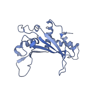 15100_8a22_Ad_v1-1
Structure of the mitochondrial ribosome from Polytomella magna