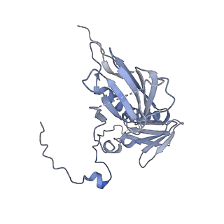 15100_8a22_Ae_v1-1
Structure of the mitochondrial ribosome from Polytomella magna