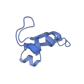 15100_8a22_Af_v1-1
Structure of the mitochondrial ribosome from Polytomella magna