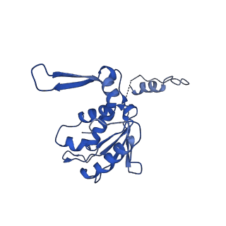 15100_8a22_Ah_v1-1
Structure of the mitochondrial ribosome from Polytomella magna