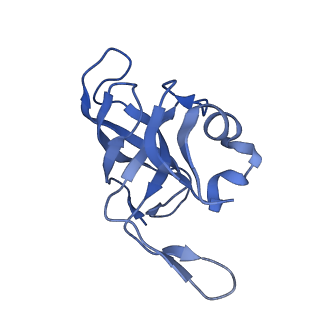 15100_8a22_Ai_v1-1
Structure of the mitochondrial ribosome from Polytomella magna